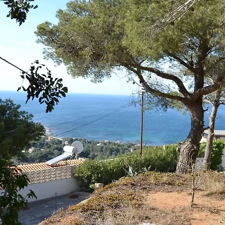 Zoro Locdenia * Denia