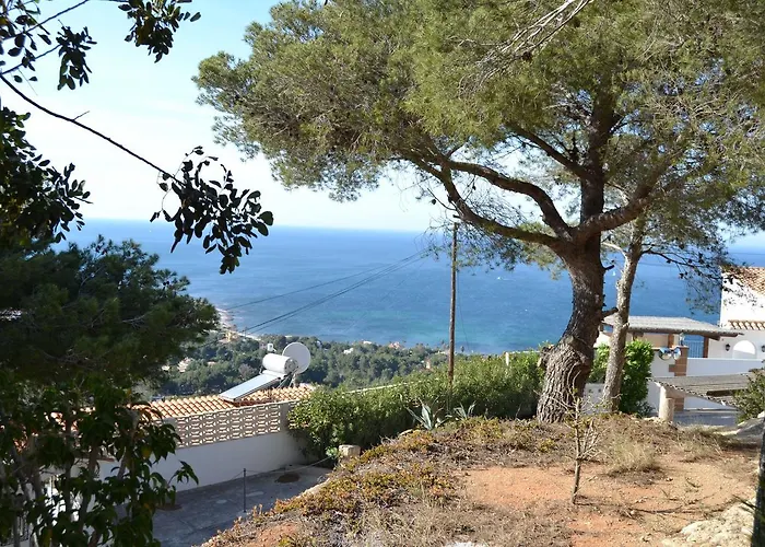 Zoro Locdenia * Denia